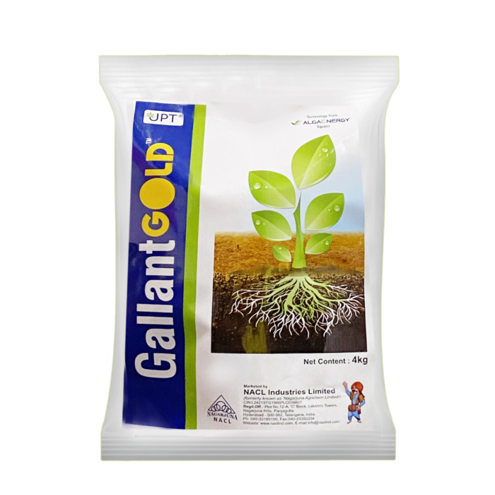 Gallant Gold™