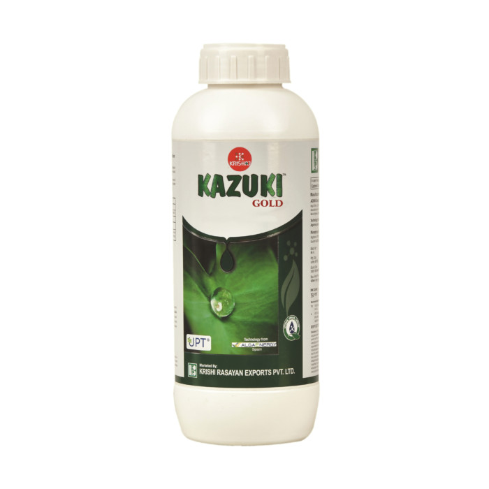 Kazuki Gold™