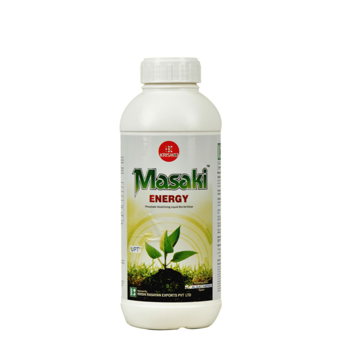 Masaki Energy™