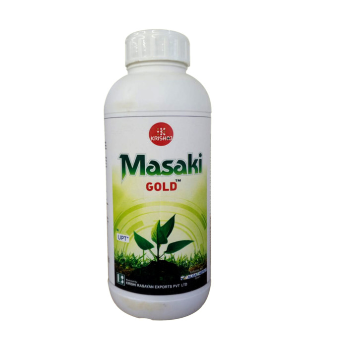Masaki Gold™